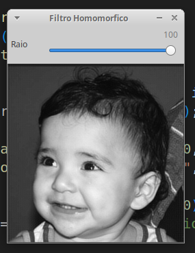 Filtro 100