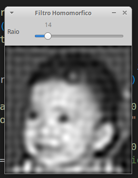 Filtro 14