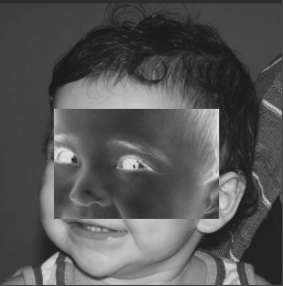biel 2